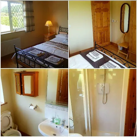 Large Luxury House Ballyell