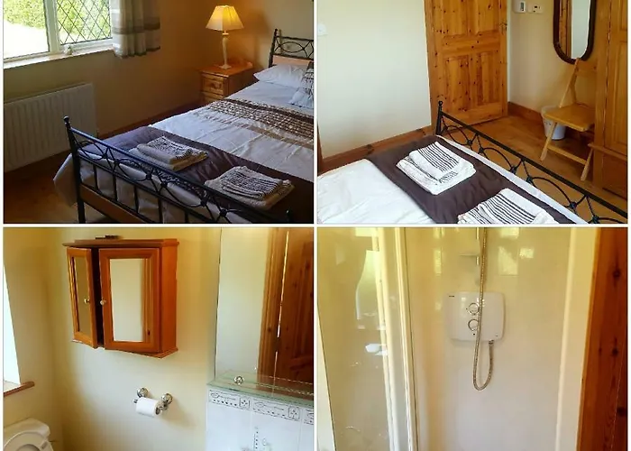 Large Luxury House Ballyell